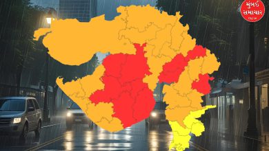 ગુજરાતમાં 12 જિલ્લામાં 50 ટકાથી વધુ વરસાદ નોંધાયો