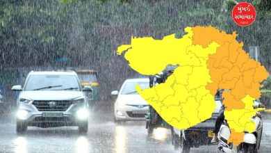 આજે આ જિલ્લાને ધમરોળશે મેઘરાજા! ભારે વરસાદની આગાહી, 10 વાગ્યા સુધી રાજ્યના 15 જિલ્લામાં ઓરેન્જ એલર્ટ