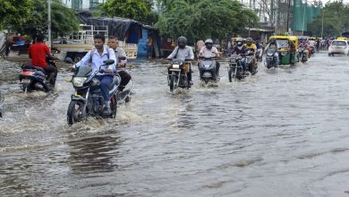 આજે ભાવનગર જિલ્લાની તમામ શાળાઓ બંધ રહેશે, ગુજરાતમાં 23 જૂન સુધી અતિભારે વરસાદની આગાહી