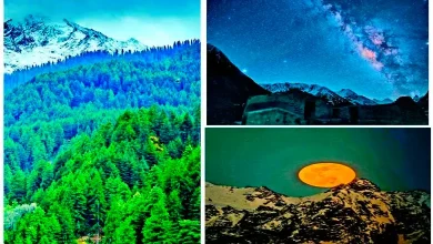 Travel Plus Incredible and unique views emerging in India's natural world...
