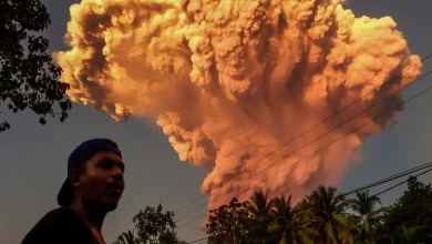 "Indonesia Volcano Erupts, Bali Flights Disrupted"