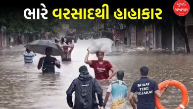 More than 8 inches of rain in Nandod on Narmada, 16 inches of rain in one and a half days spoils the image of Surat