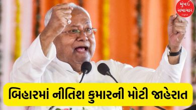 Bihar CM Nitish Kumar master stroke before assembly elections increase pension of widows and elderly