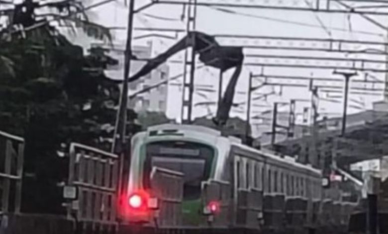 Metro (One) train service disrupted in Mumbai, know the reason?