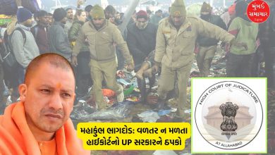 "Allahabad HC Raps UP Govt Over Kumbh Stampede Compensation"