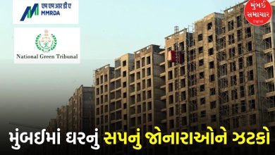 NGT Halts 70,000 Houses Construction in MMR