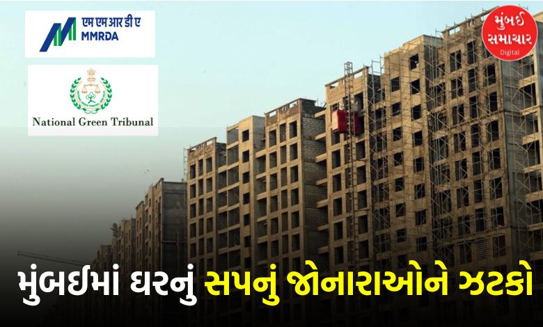NGT Halts 70,000 Houses Construction in MMR