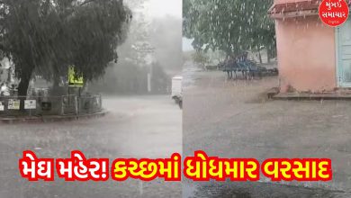 Good news! Megharaja rains in Kutch, new water in Hamirsar lake!