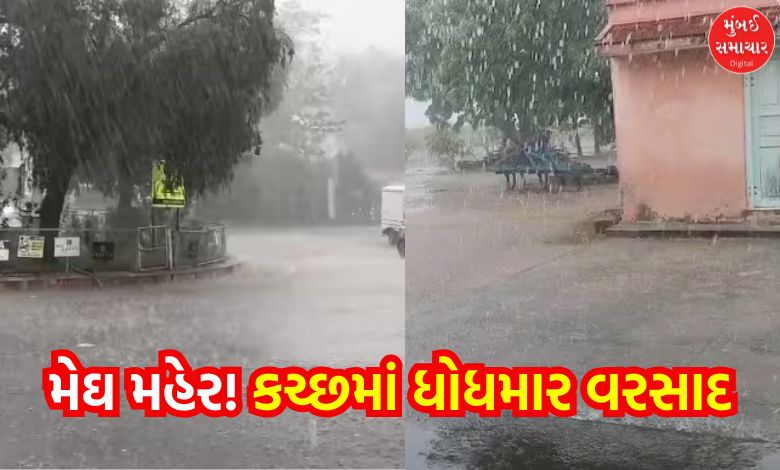 Good news! Megharaja rains in Kutch, new water in Hamirsar lake!