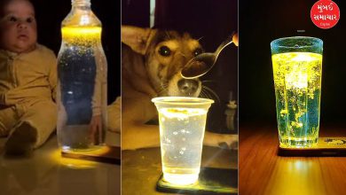 Are you also thinking of following the viral trend by adding turmeric to water? Be careful, you will get into trouble...