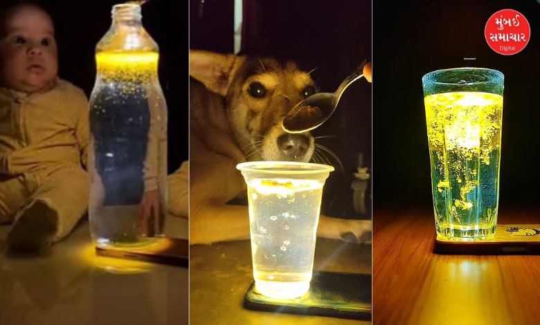 Turmeric post that's making waves on Insta: Here's the science behind it