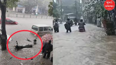 Rainfall in Surat: More than eight and a half inches of rain, waterlogging, school holiday declared