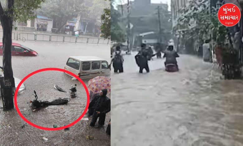 Rainfall in Surat: More than eight and a half inches of rain, waterlogging, school holiday declared