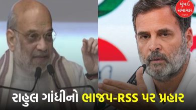 "Rahul Gandhi Defends English Language, Criticizes BJP and RSS"