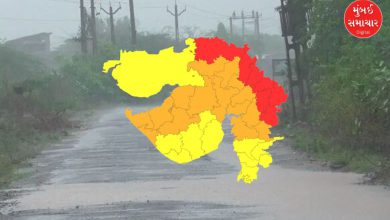 Meghmeher at the beginning of Ashadh in Gujarat: 159 talukas drenched in rain, more rain in Maliya Hatina