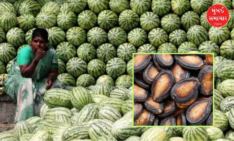 "India Postpones Import of Watermelon Seeds to Protect Farmers"