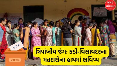 Battle between BJP-Congress and AAP in Kadi-Visavadar; Voting for by-election begins, voters line up from early morning