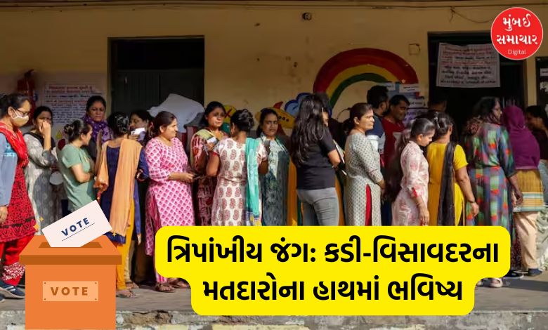 Battle between BJP-Congress and AAP in Kadi-Visavadar; Voting for by-election begins, voters line up from early morning