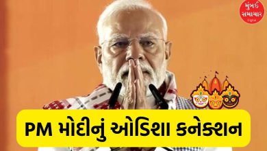 Prime Minister Narendra Modi addressing a public gathering in Odisha.