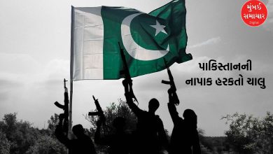 US Designates TRF Terror Group After Pahalgam