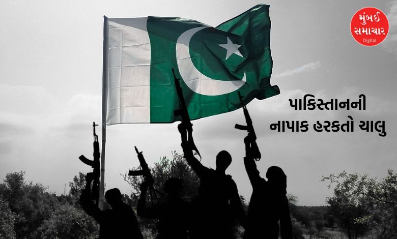 Pakistan's 'nefarious' plan: Reconstructing launch pads destroyed in 'Operation Sindoor'