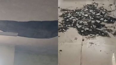 "Roof Collapse at Gujarat School Injures 2 Students"