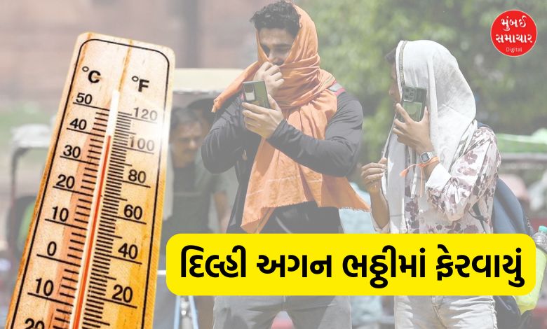 Delhi Temperature Rise actual temperature reaches 47.1 degrees Celsius