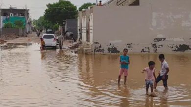 'કાં વાદળ કાં વીજ': કચ્છી નવા વર્ષનું શુકન સચવાયું: લખપત, ભુજમાં વરસાદ