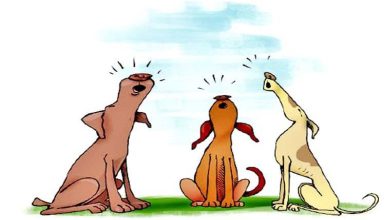 મોજની ખોજ : સંગીતના અસુરને આ સૂર કેમ સમજાય?