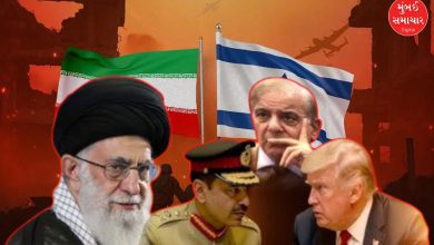 પાકિસ્તાનના વડા પ્રધાન શાહબાઝ શરીફ ઇઝરાયલ-ઈરાન સંઘર્ષ પર બોલી રહ્યા છે.