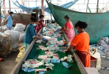 Focus: Is plastic environmentally friendly?