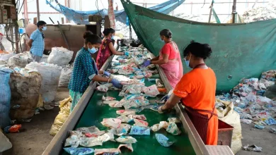 Focus: Is plastic environmentally friendly?