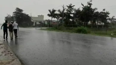 5 inches of rain fell in two hours in Sankheda, Chhota Udepud early in the morning.