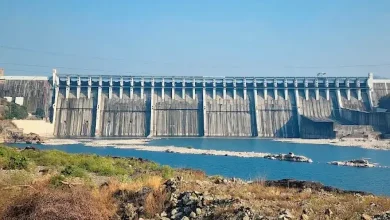 Gujaratis enjoy Sardar Sarovar's 'happiness': Summer is over but the dam still has more than 53 percent water