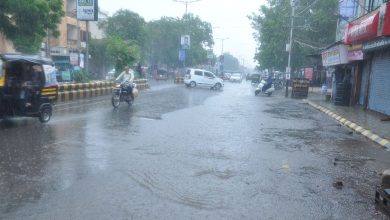ગુજરાતમાં વરસાદે રવિવારે પણ રજા ન લીધીઃ જાણો આંકડા સાથેની વિગતો