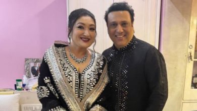 એક હીરોની પત્ની હોવું એટલે...ગોવિંદાની પત્ની સુનીતાએ લગ્નજીવનના અનુભવ અંગે કરી ચોંકાવનારી વાત