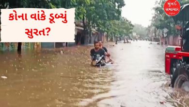 વરસાદે સુરત શહેરની સુરત બગાડી! વ્યવસ્થામાં તંત્ર ખાડે ગયું, પ્રિ-મોન્સુન કામગીરીના દાવા પોકળ