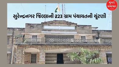 Gram Panchayat elections in Surendranagar: 594 forms filled, controversy swirls in Wadhwan