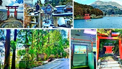 Around the World Hewano Tori Tokyo