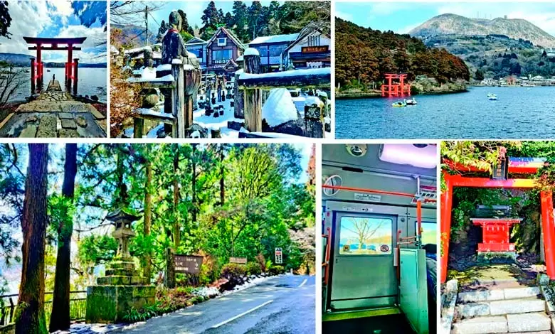 Around the World Hewano Tori Tokyo