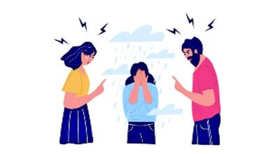 ઉડાન મુગ્ધાવસ્થાથી મધ્યાવસ્થા સુધીઃ કારકિર્દીનાં વર્ષો દરમિયાન અપેક્ષાઓનો બોજ