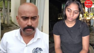 રાજાની હત્યા મામલે ભાઈ વિપિન રઘુવંશીએ સોનમ મામલે કર્યો મોટો ખુલાસો, જુઓ વીડિયો