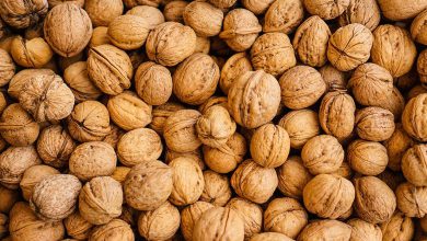 DRI મુંબઈએ સુરતના વેપારીની કરી ધરપકડઃ અખરોટની ઈમ્પોર્ટ ડ્યૂટીમાં ચોરીનો મામલો