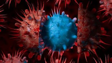 ભારતમાં કોરોના કેસોમાં ફરી ઉછાળો: XFG વેરિયન્ટના 163 કેસ, કેરળ સૌથી પ્રભાવિત