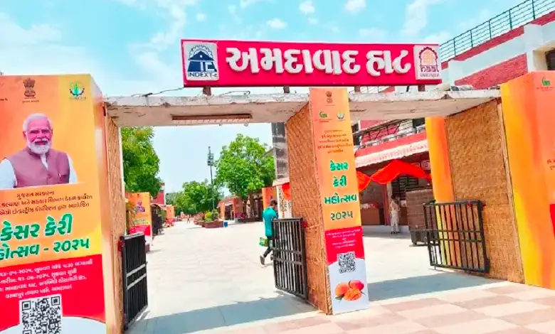 Kesar Mango Festival: Ahmedabad residents snatch mangoes worth Rs 4 crore