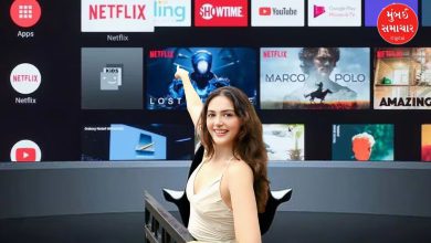 Aneet Padda will be seen on OTT.