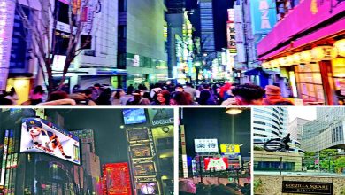 ટોક્યોના શિન્જૂકુમાં 3D બિલબોર્ડ પર કેલિકો કેટ, શહેરનું રાત્રિ દ્રશ્ય.