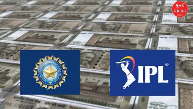 BCCI revenue fy 2023-24 IPL major contribution