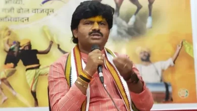 BJP MLA Padalkar controversy