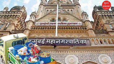 BMC sanitation workers strike